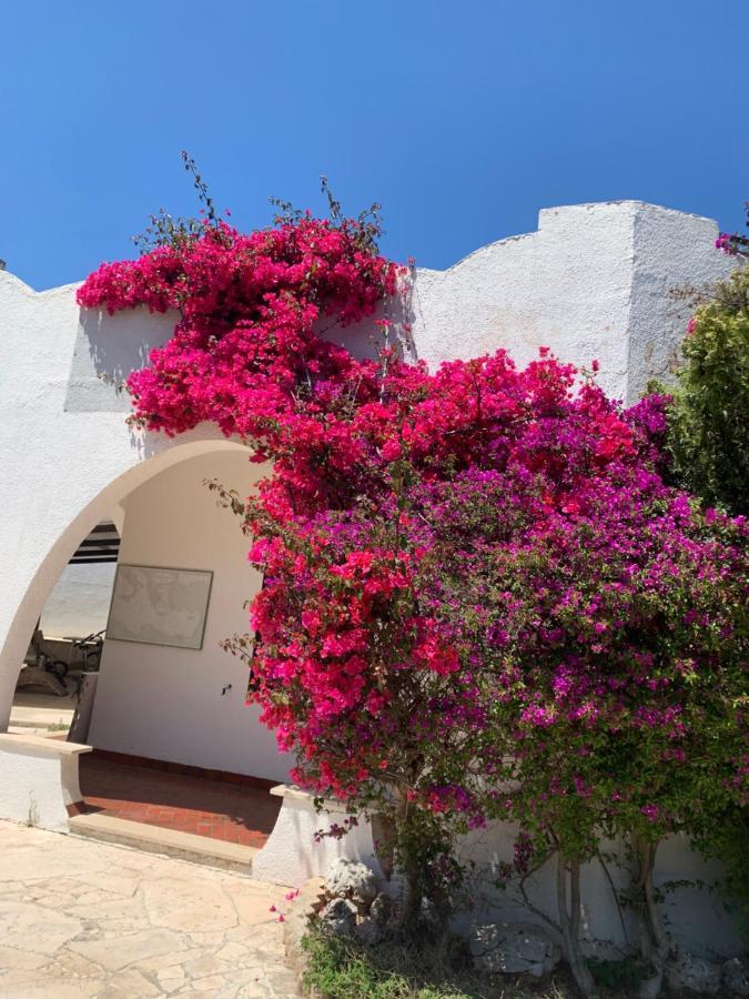 Villa Cecilia بولينيانو آ ماري المظهر الخارجي الصورة